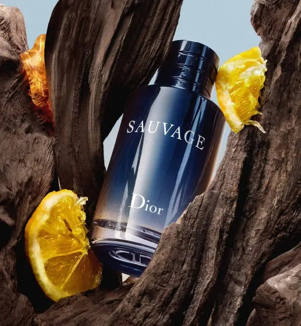 Dior Sauvage Eau de Parfum – 100ML Replica Techni Product